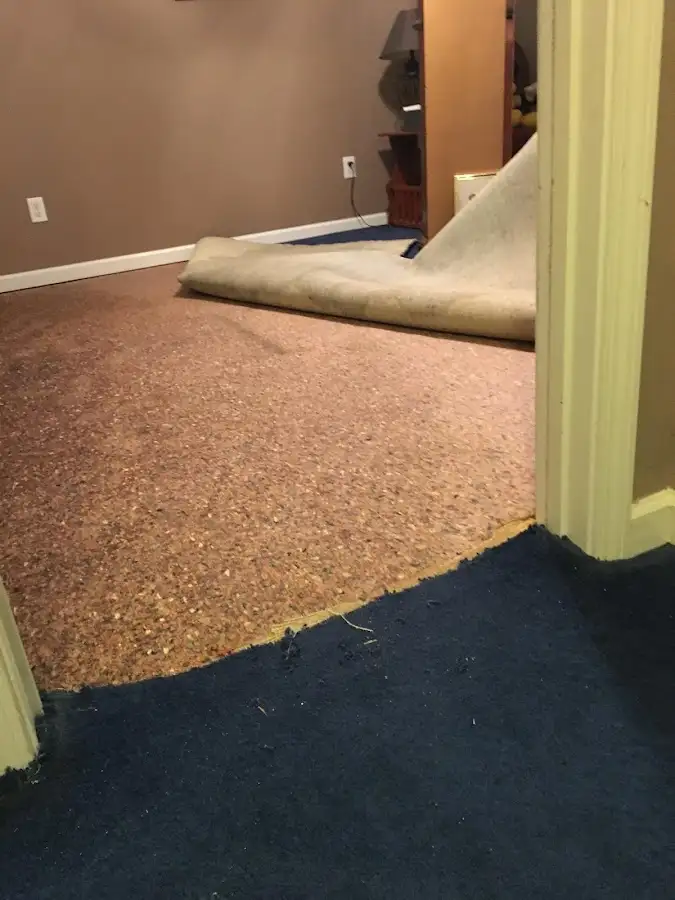 Carpet pad removal revealing water damage during Drying & Dehumidification in Shorewood
